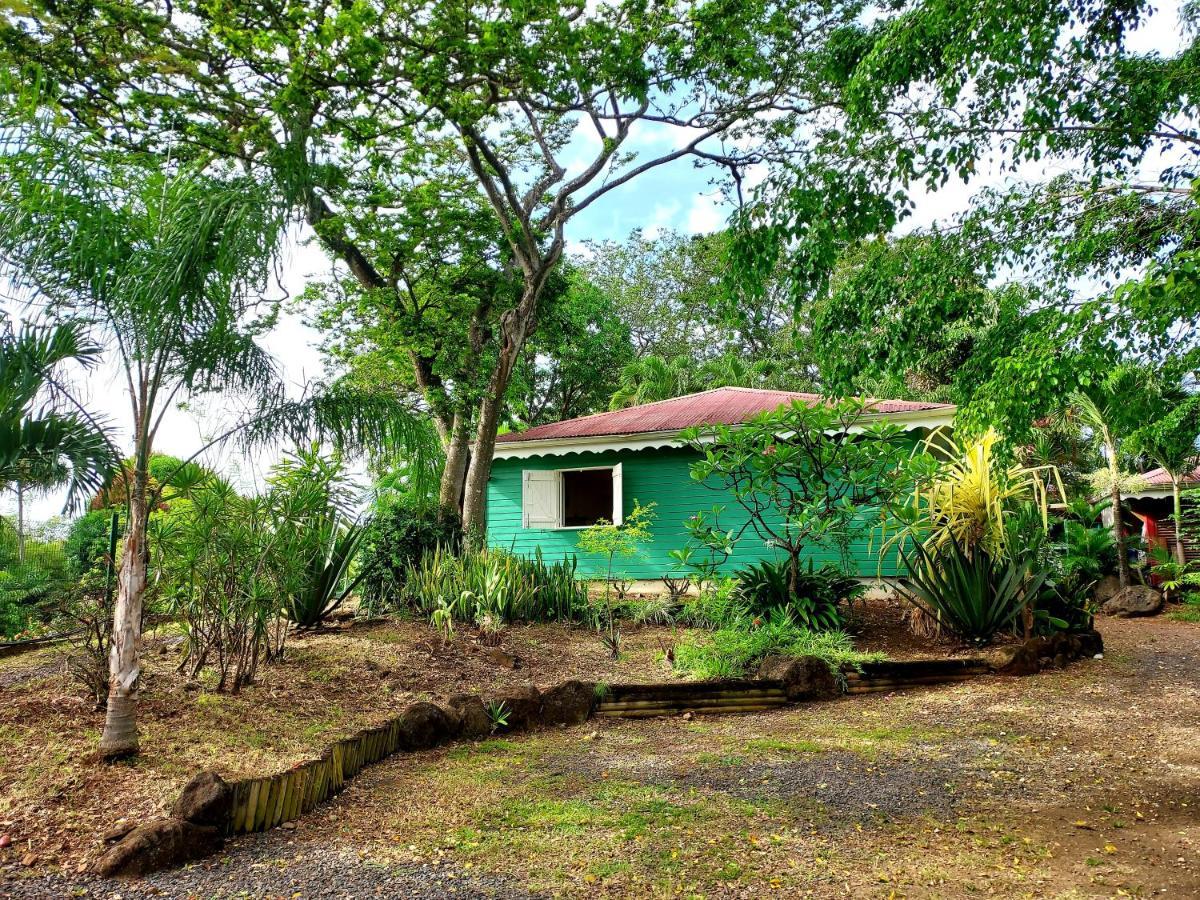 Bungalow Du Jardin Botanique De Десе Екстер'єр фото