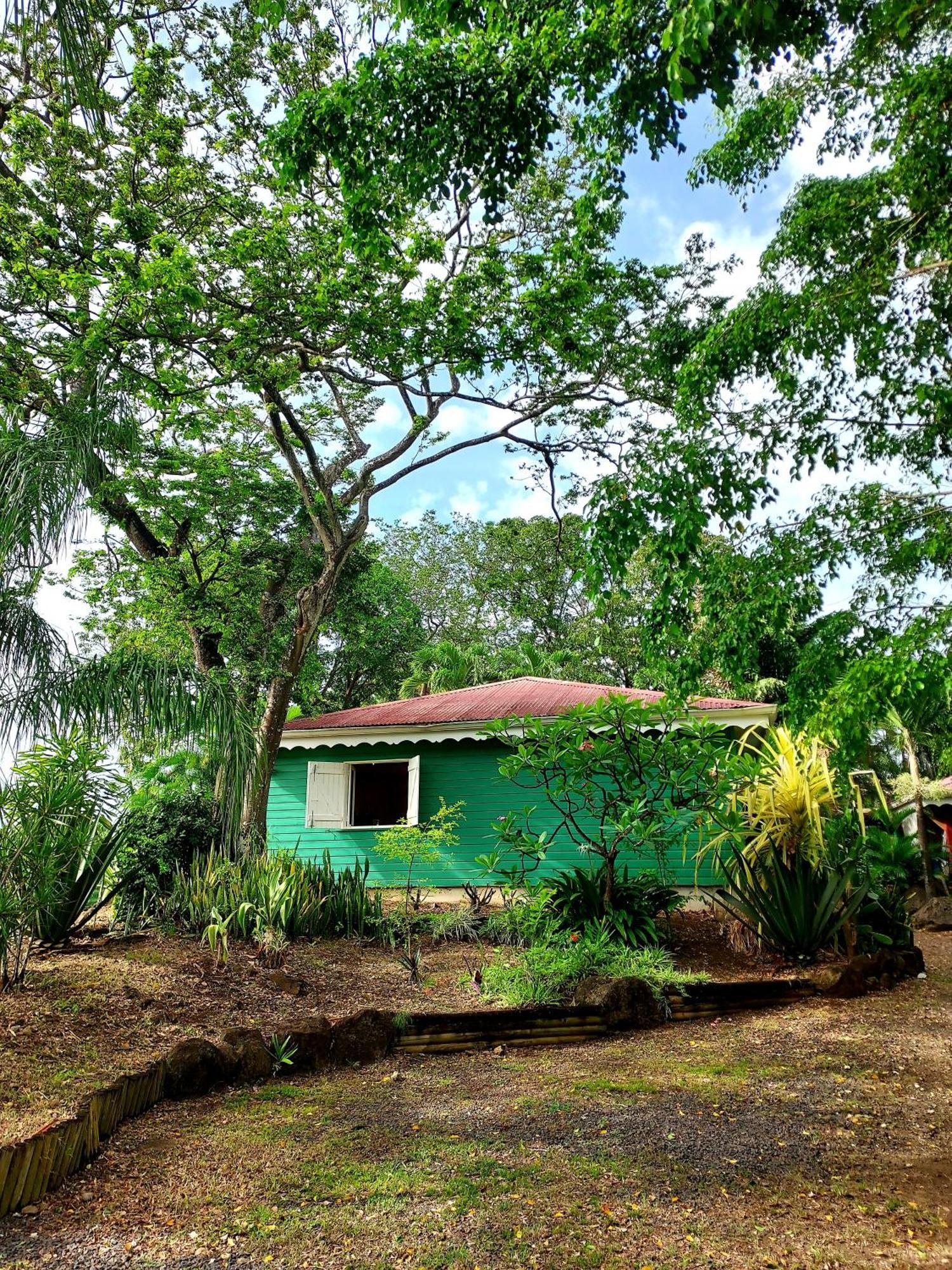 Bungalow Du Jardin Botanique De Десе Номер фото